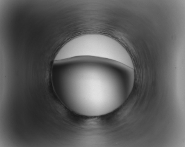 X0000089360505200706150826