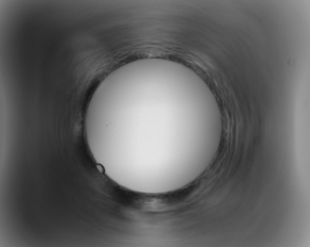 X0000089360507200706150826