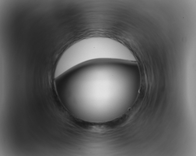 X0000089360508200706150826
