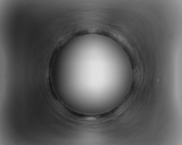 X0000089360509200706150826