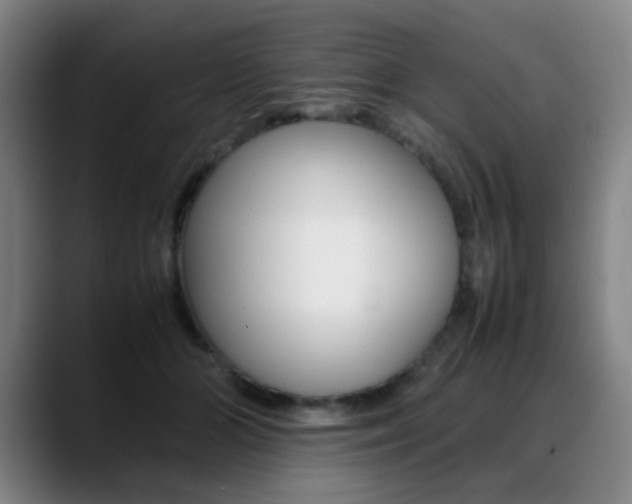 X0000089360510200706150826