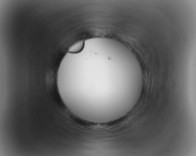 X0000089360511200706150826
