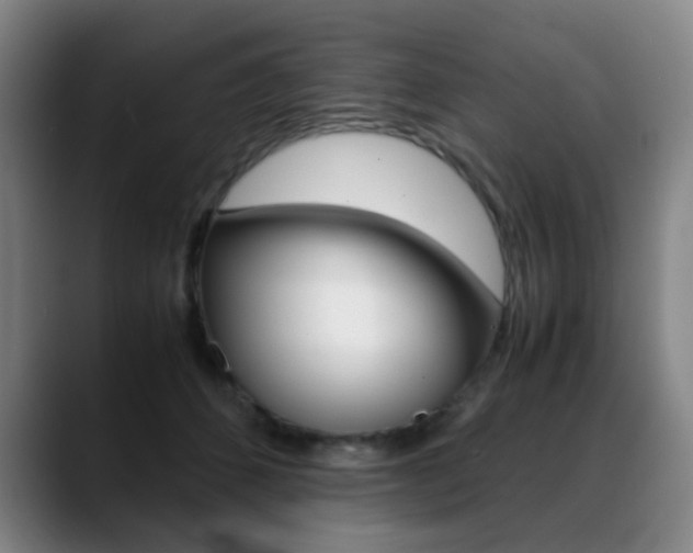 X0000089360512200706150826