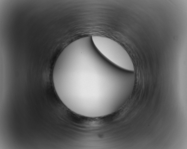 X0000089360514200706150826