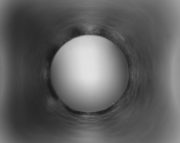 X0000089360515200706150826