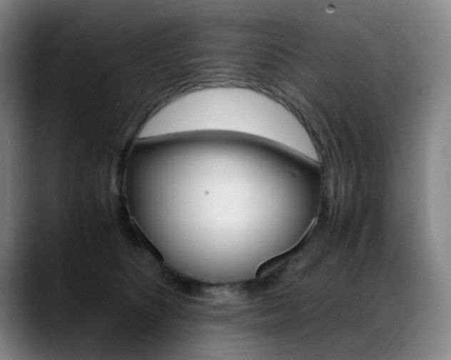 X0000089360516200706150826