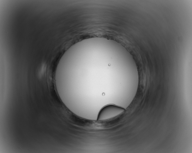 X0000089360518200706150826