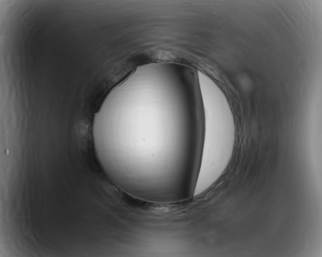 X0000089360521200706150826