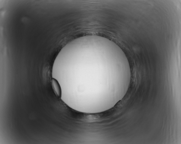 X0000089360522200706150826