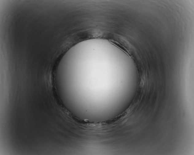 X0000089360524200706150826