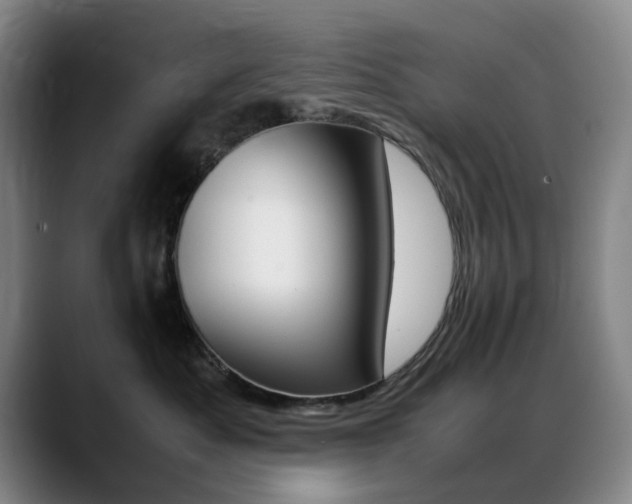 X0000089360525200706150826