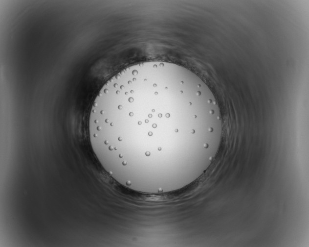 X0000089360527200706150825