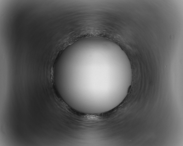 X0000089360528200706150825