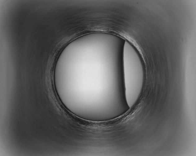 X0000089360529200706150825
