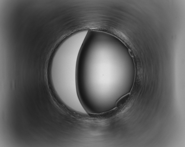 X0000089360530200706150825