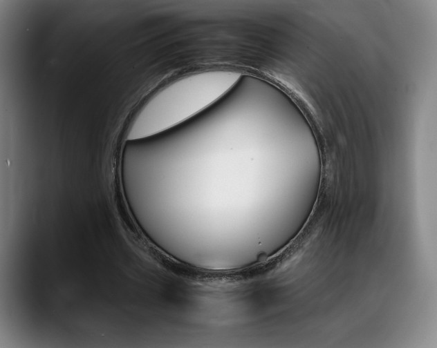 X0000089360533200706150825