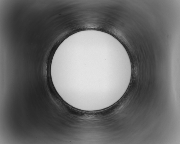 X0000089360534200706150825