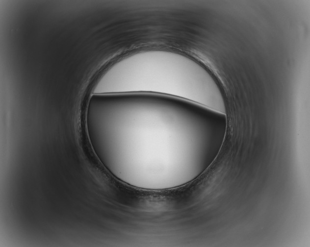 X0000089360535200706150825