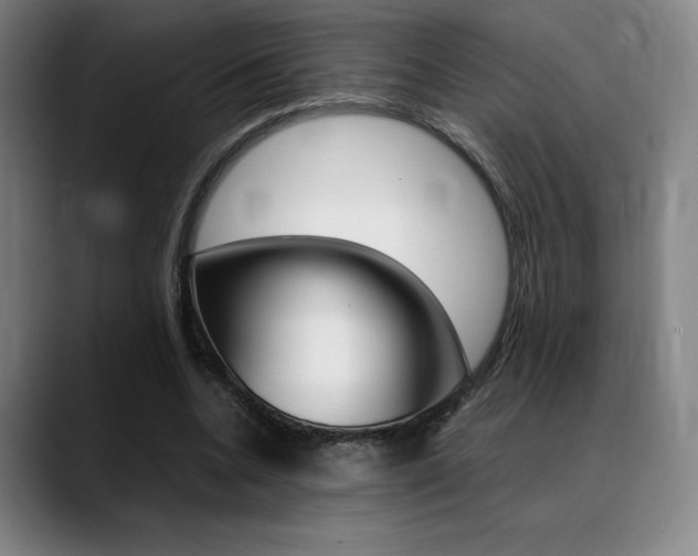 X0000089360536200706150825