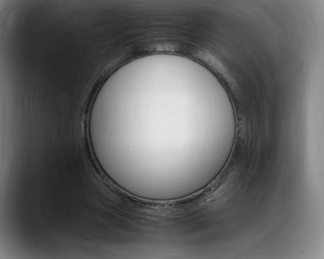 X0000089360537200706150825