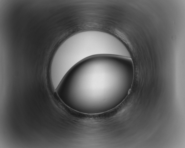 X0000089360538200706150825