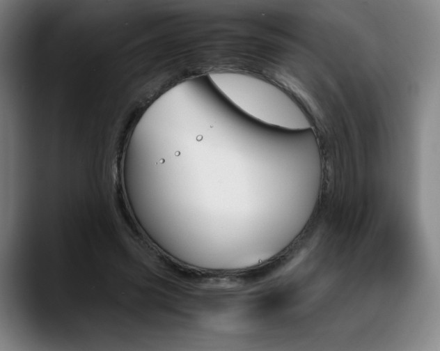 X0000089360541200706150825