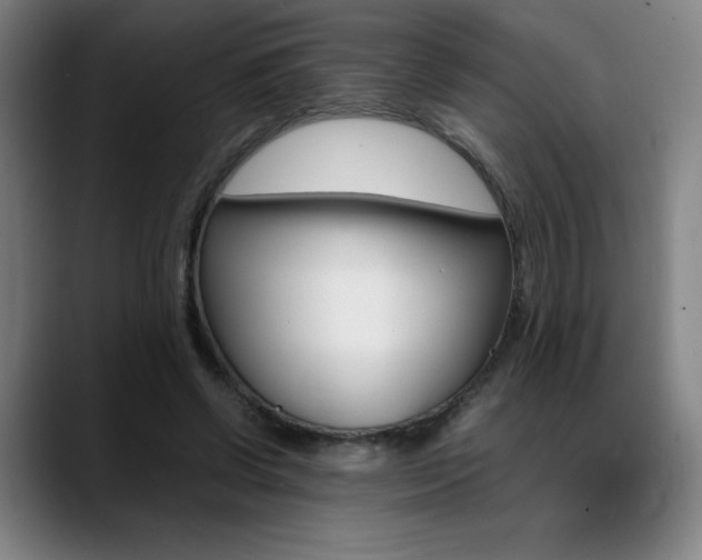 X0000089360542200706150825