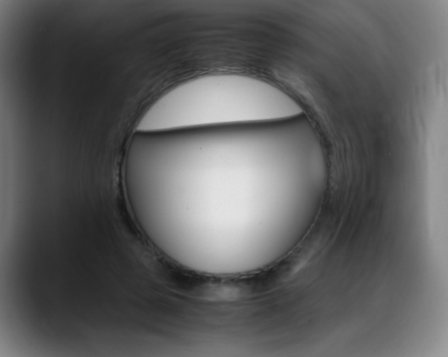 X0000089360545200706150825