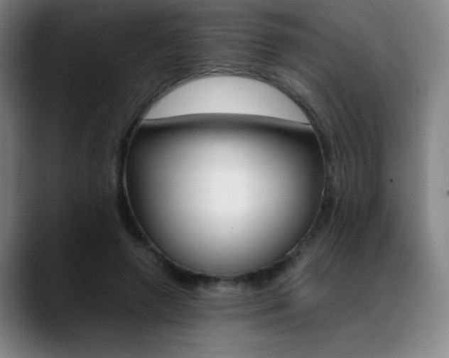 X0000089360546200706150825
