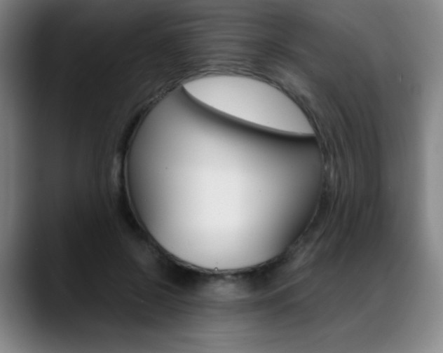 X0000089360550200706150825