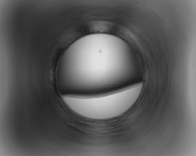 X0000089360551200706150825