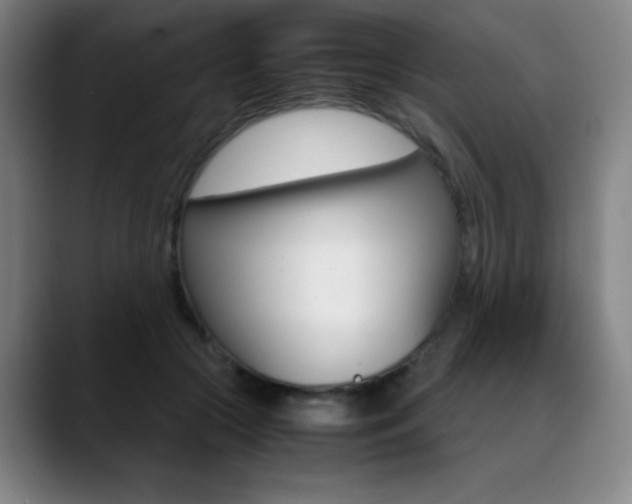 X0000089360553200706150825