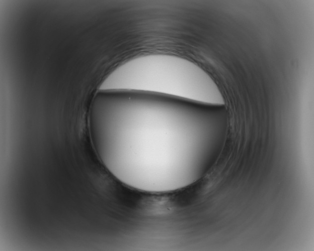 X0000089360554200706150825