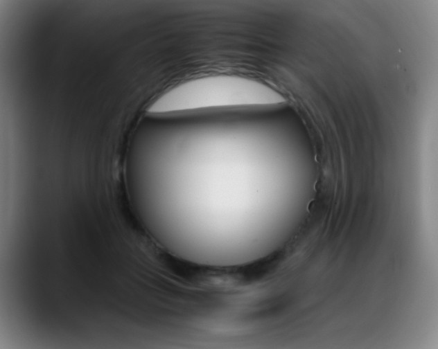 X0000089360555200706150825