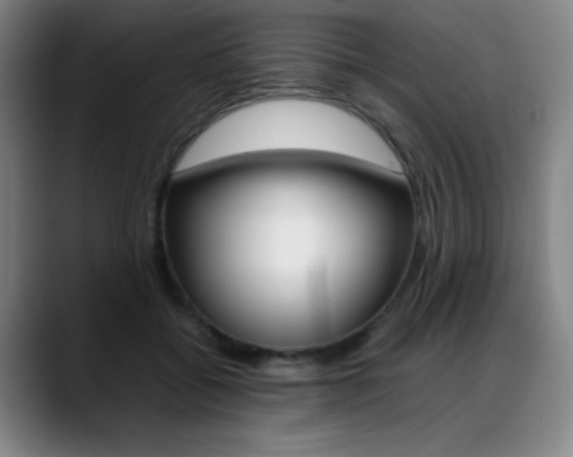 X0000089360556200706150825