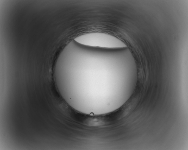 X0000089360557200706150825