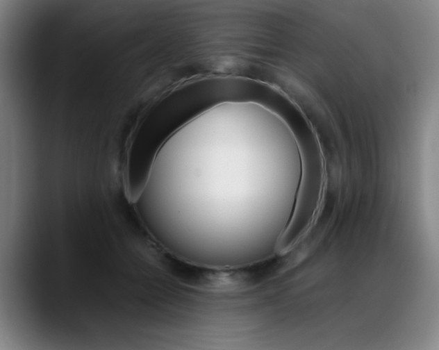 X0000089360558200706150825
