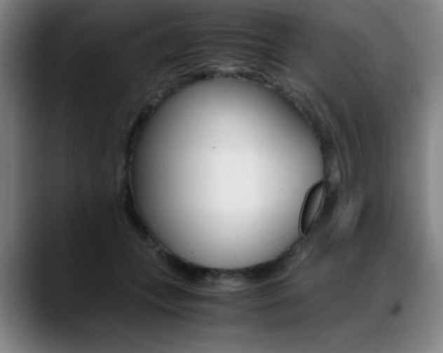 X0000089360559200706150825