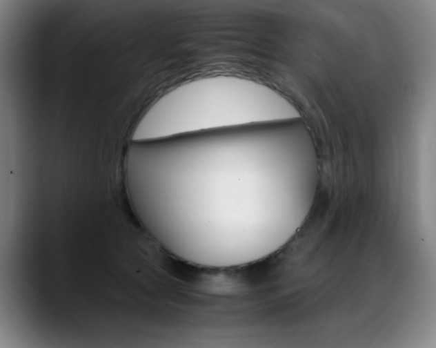 X0000089360561200706150825