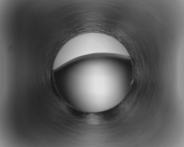 X0000089360562200706150825