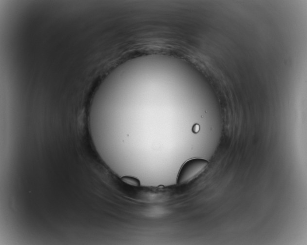 X0000089360563200706150825