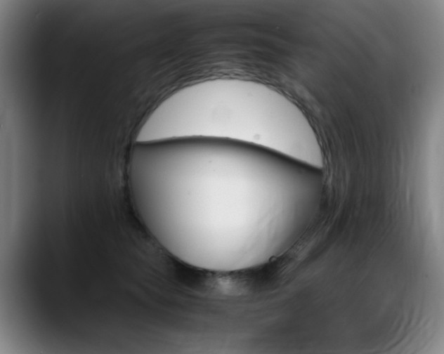X0000089360565200706150825