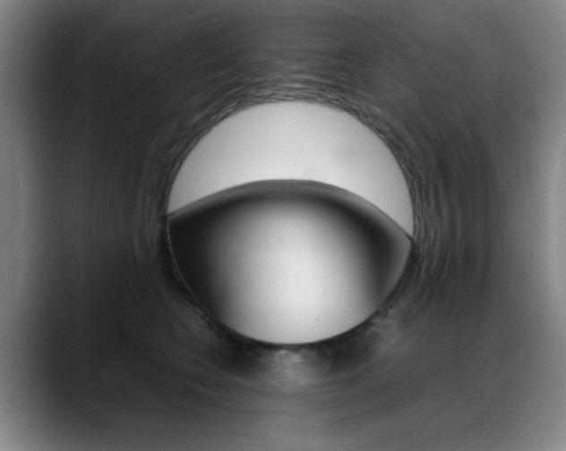 X0000089360566200706150825