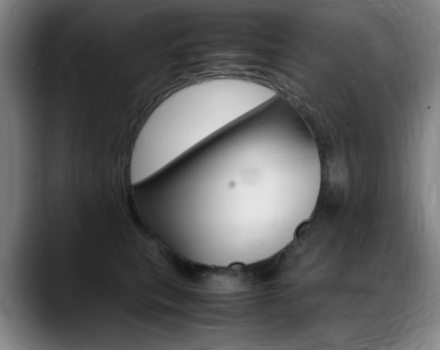 X0000089360567200706150825