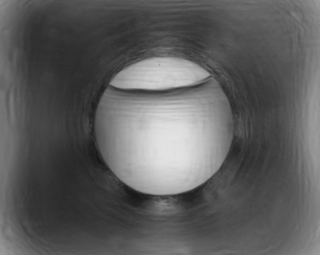 X0000089360569200706150825