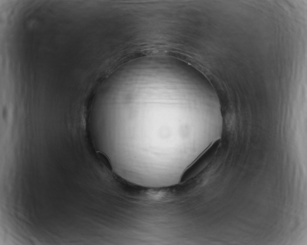 X0000089360570200706150825