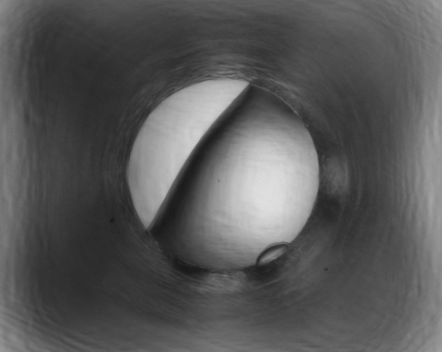 X0000089360571200706150825