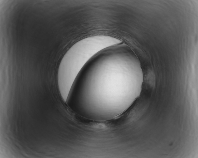 X0000089360572200706150825