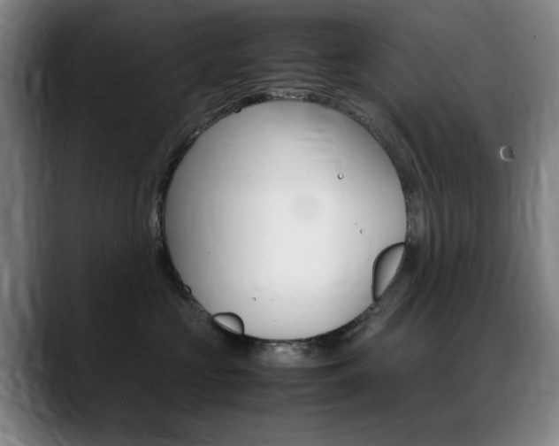 X0000089360573200706150825