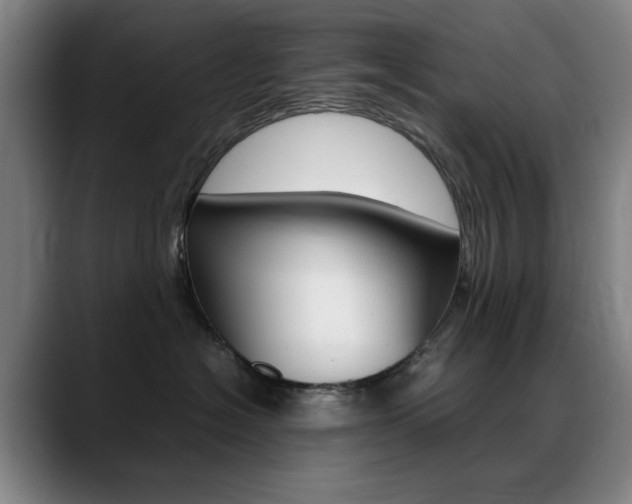 X0000089360574200706150825